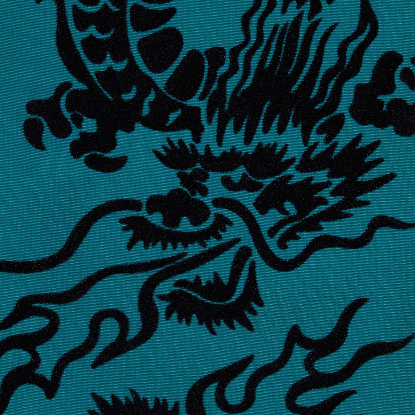 Dragon Track Jacket view 14